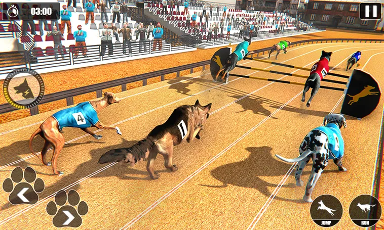 Hướng Dẫn Cách Chơi Game Nhanh Đua Chó Tại 188Bet Siêu Vui