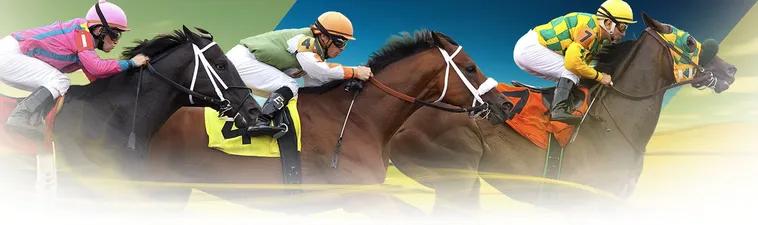 Tìm Hiểu Cá Cược Đua Ngựa 188Bet: Phi Nước Đại Đến Thắng Lợi 2 Tìm Hiểu Cá Cược Đua Ngựa 188Bet: Phi Nước Đại Đến Thắng Lợi